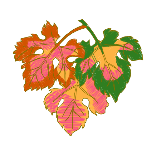 Flower Flowers Flower Flowers