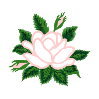 Flower Flowers Flower Flowers