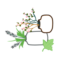 Flower Flowers Flower Flowers