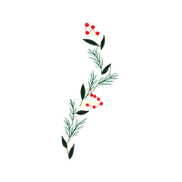 Flower Flowers Flower Flowers