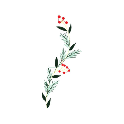 Flower Flowers Flower Flowers