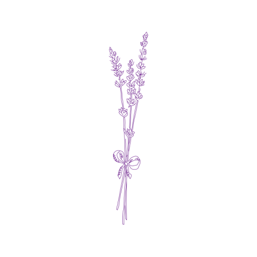 Flower Flowers Flower Flowers