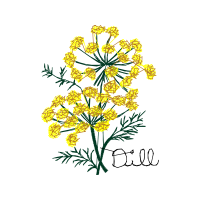 Flower Flowers Flower Flowers