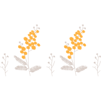 Flower Flowers Flower Flowers