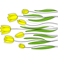 Flower Flowers Flower Flowers