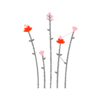 Flower Flowers Flower Flowers