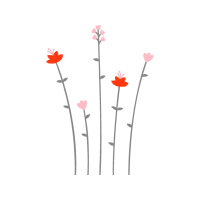 Flower Flowers Flower Flowers