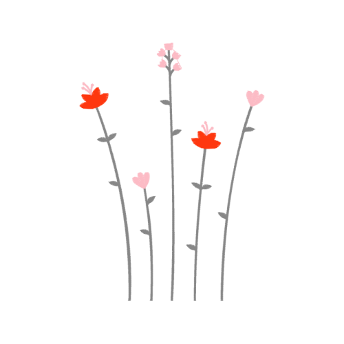 Flower Flowers Flower Flowers