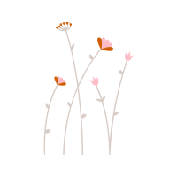 Flower Flowers Flower Flowers