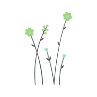 Flower Flowers Flower Flowers