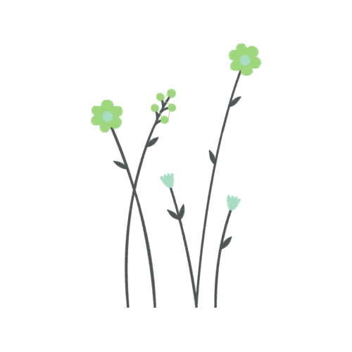 Flower Flowers Flower Flowers