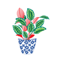 Flowerpot Flowers Flowerpot Flowers