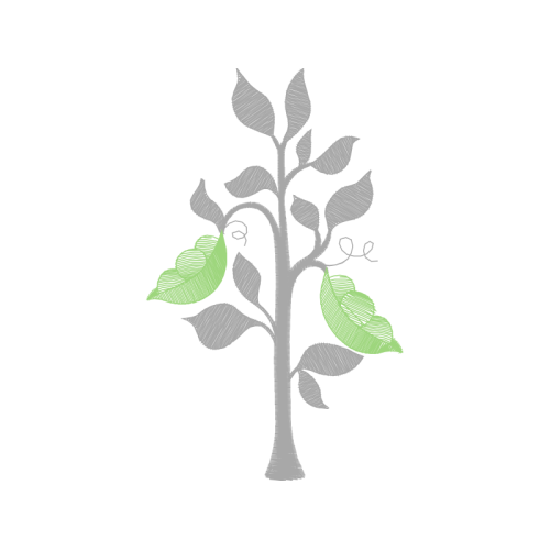 Gambel Oak Flowers Gambel Oak Flowers