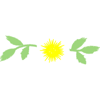 Graphic Flowers Graphic Flowers