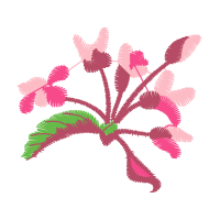 Graphic Flowers