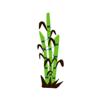 Graphic Flowers Graphic Flowers