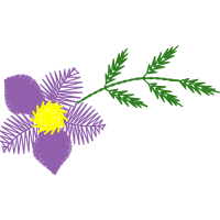 Graphic Flowers Graphic Flowers