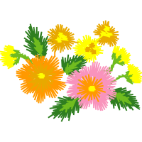 Graphic Flowers Graphic Flowers