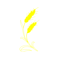 Graphic Flowers Graphic Flowers