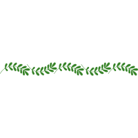 Grass Flowers Grass Flowers