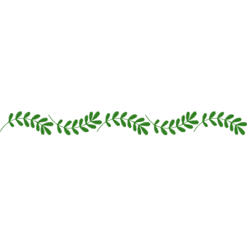 Grass Flowers Grass Flowers