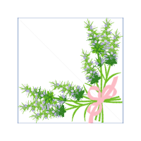 Grass Flowers Grass Flowers