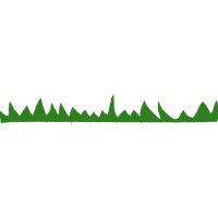 Grass Flowers Grass Flowers