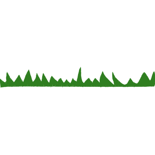 Grass Flowers Grass Flowers