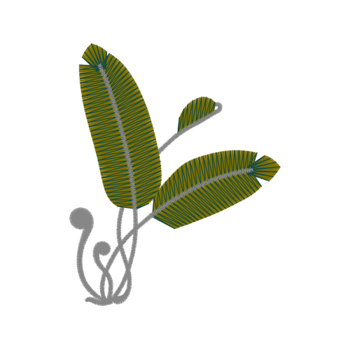 Grey Alder Flowers Grey Alder Flowers