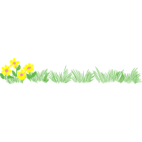 Herbaceous Plant Flowers