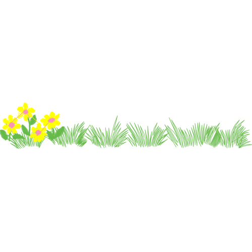 Herbaceous Plant Flowers Herbaceous Plant Flowers