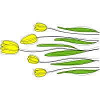 Herbaceous Plant Flowers