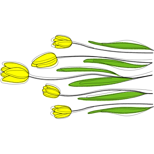 Herbaceous Plant Flowers Herbaceous Plant Flowers