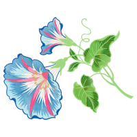 Hollyhocks Flowers Hollyhocks Flowers