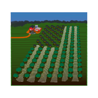 Honeysuckle Flowers Honeysuckle Flowers