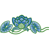 Honeysuckle Flowers Honeysuckle Flowers