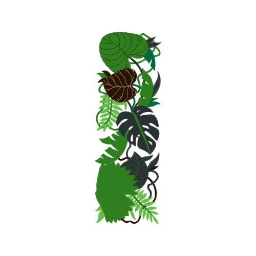 Housefly Flowers Housefly Flowers