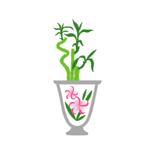 Houseplant Flowers Houseplant Flowers