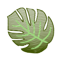 Illustration Flowers