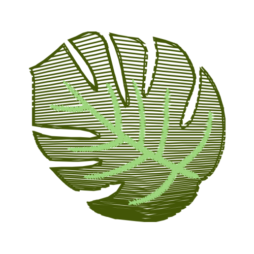 Illustration Flowers Illustration Flowers