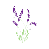 Illustration Flowers Illustration Flowers