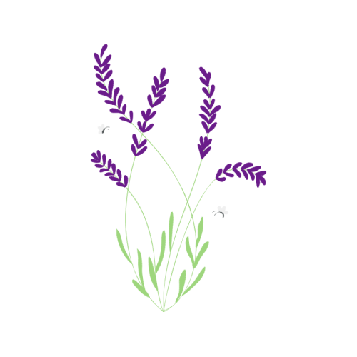 Illustration Flowers Illustration Flowers