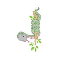 Illustration Flowers Illustration Flowers