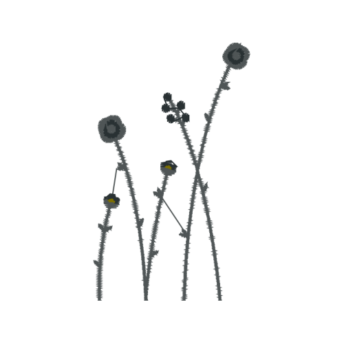 Illustration Flowers Illustration Flowers