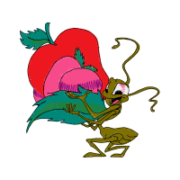 Illustration Flowers