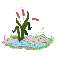 Illustration Flowers Illustration Flowers