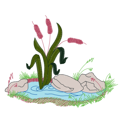 Illustration Flowers Illustration Flowers