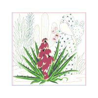 Illustration Flowers