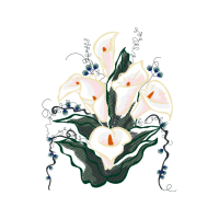 Illustration Flowers