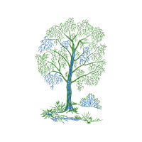 Illustration Flowers Illustration Flowers